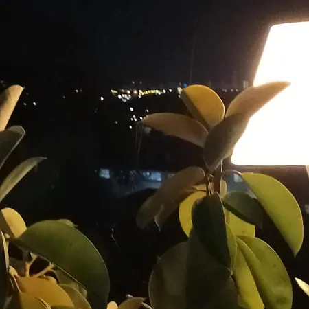 Casa Fleur Casco Antiguo Con Piscina Privada Y Jardin * 阿尔啼