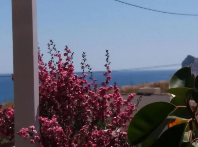 Casa Fleur Casco Antiguo Con Piscina Privada Y Jardin Апартаменты *